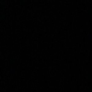 Meet your Posher, Max